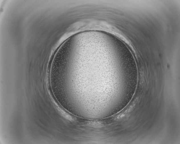 X0000059821525200510241342