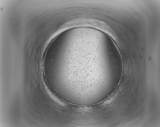 X0000059821526200510241342