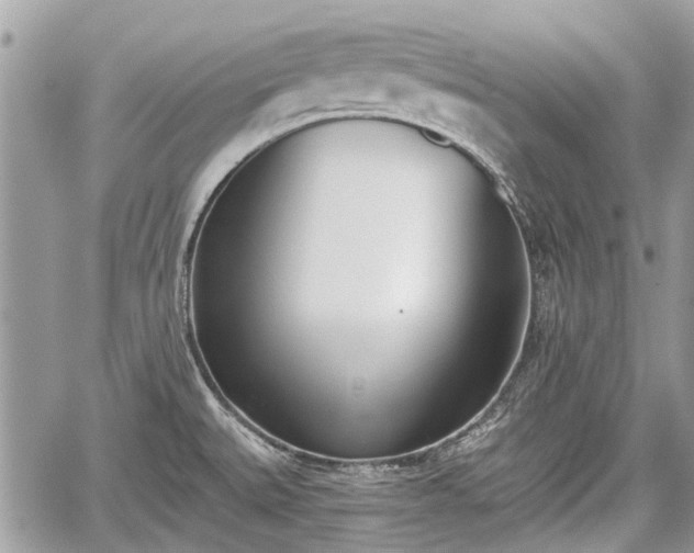 X0000059821527200510241343