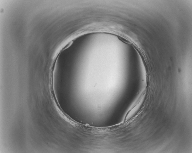 X0000059821528200510241343