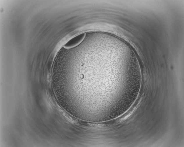 X0000059821529200510241343