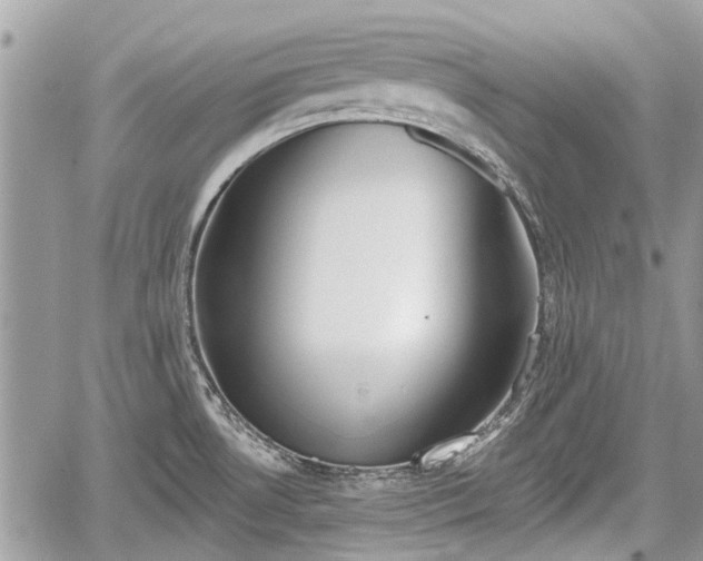 X0000059821530200510241343