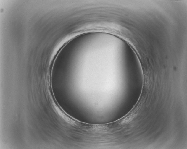 X0000059821531200510241343