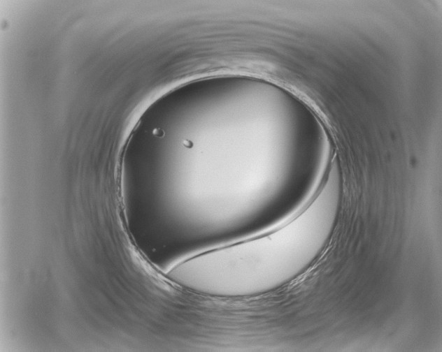 X0000059821532200510241343