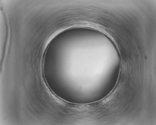 X0000059821533200510241343