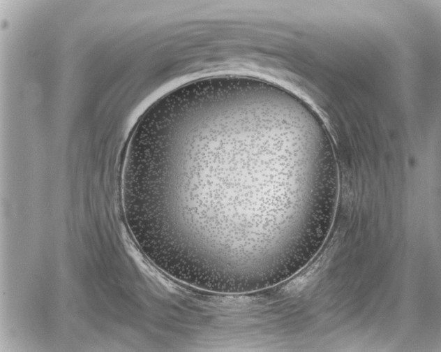 X0000059821534200510241343