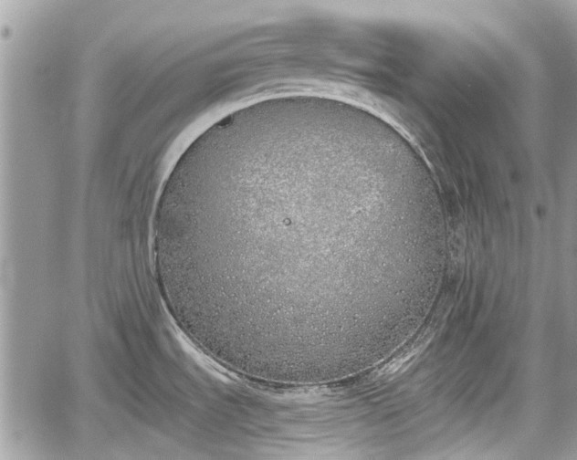 X0000059821535200510241343