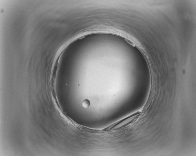 X0000059821536200510241343