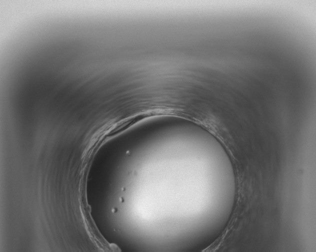 X0000059820001200510281744