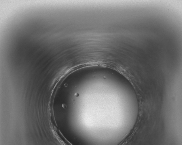 X0000059820002200510281744