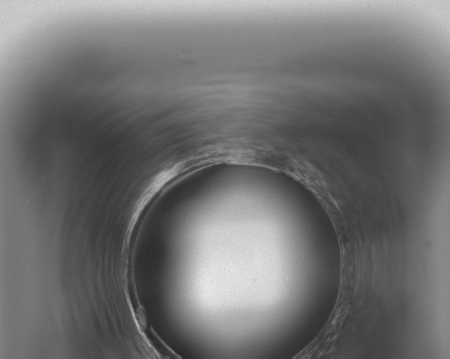 X0000059820003200510281744