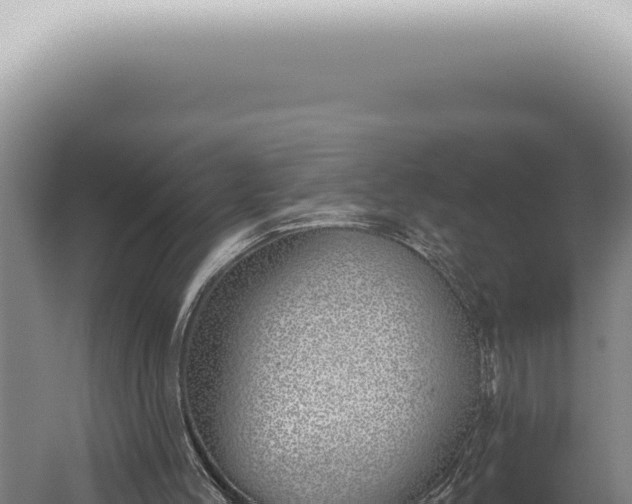 X0000059820004200510281744