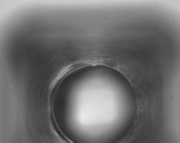 X0000059820005200510281744