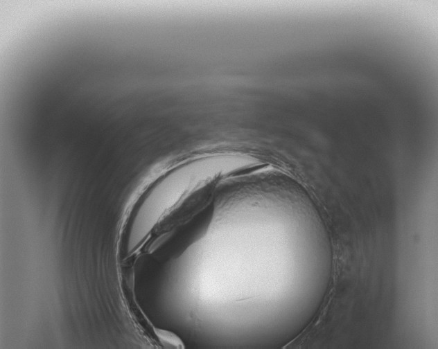 X0000059820006200510281744