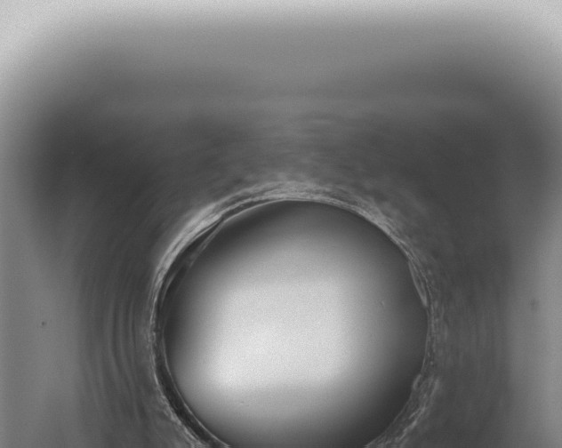 X0000059820007200510281743