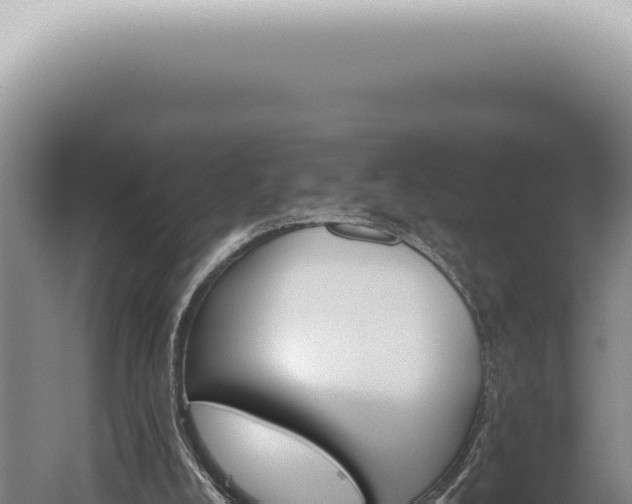 X0000059820008200510281743