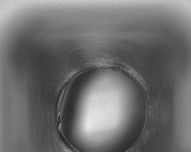 X0000059820009200510281743