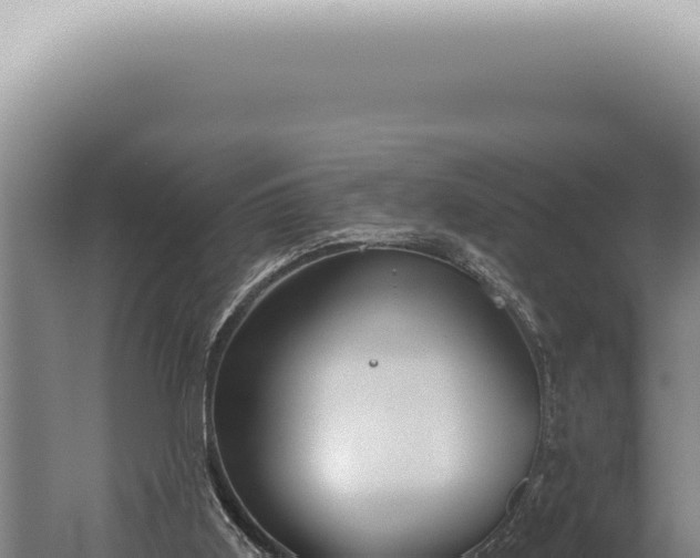 X0000059820011200510281743