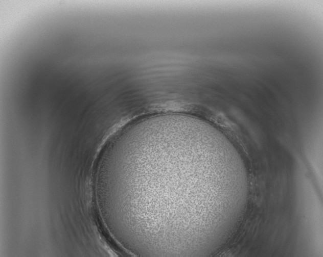 X0000059820012200510281743