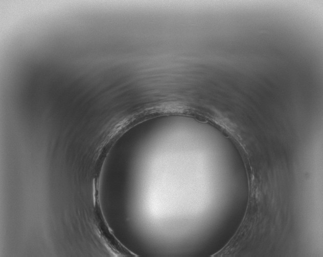 X0000059820013200510281743