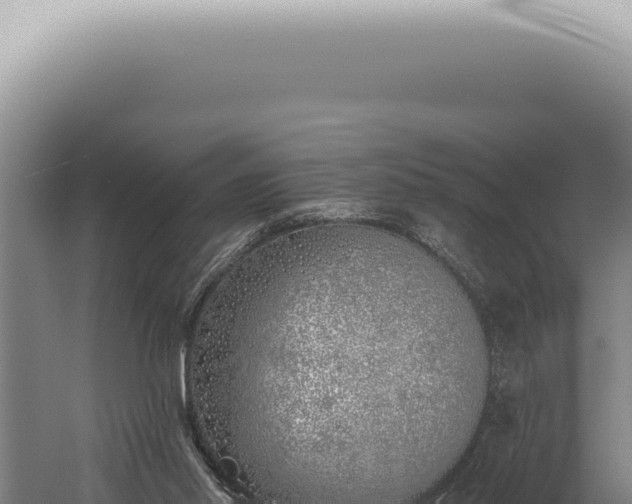 X0000059820014200510281743