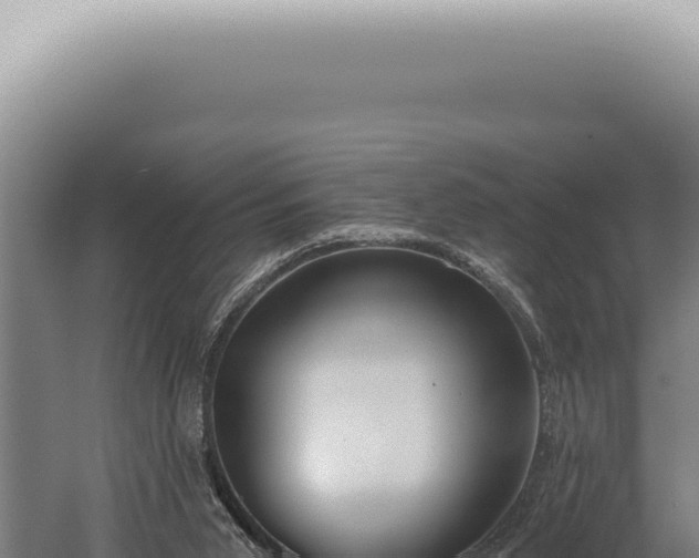 X0000059820015200510281743