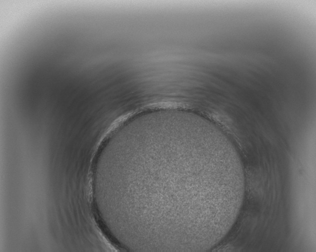 X0000059820016200510281743