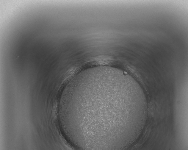 X0000059820018200510281743