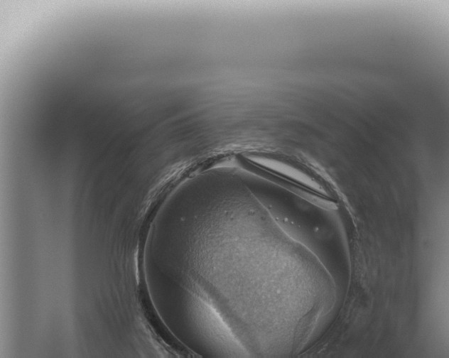 X0000059820019200510281743