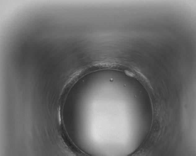 X0000059820020200510281743