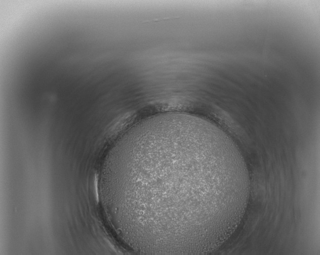 X0000059820022200510281743