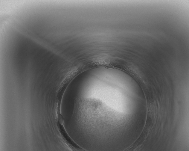 X0000059820023200510281743