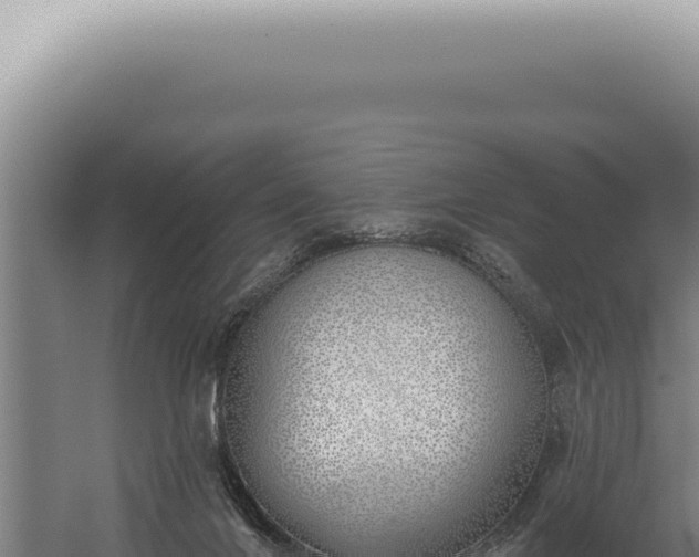 X0000059820024200510281743