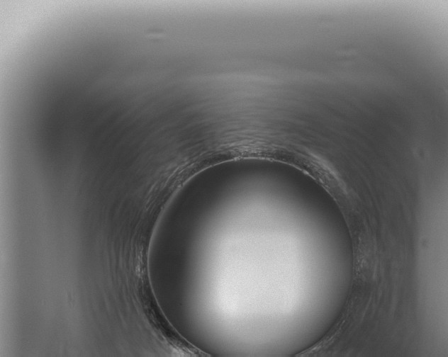 X0000059820025200510281743