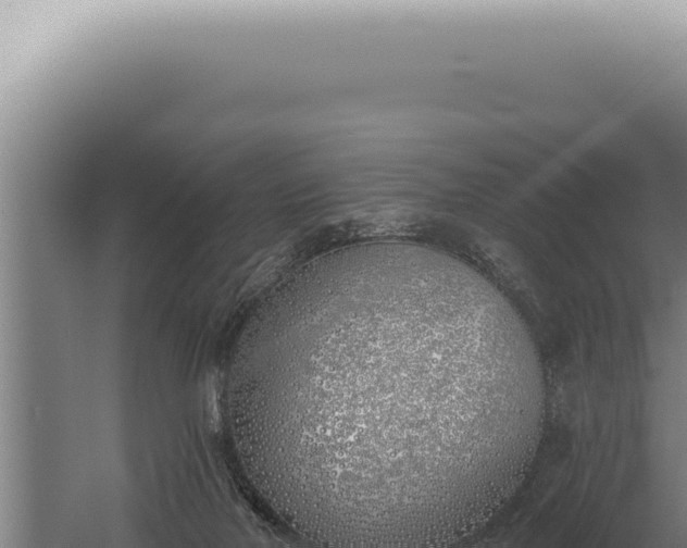 X0000059820026200510281743