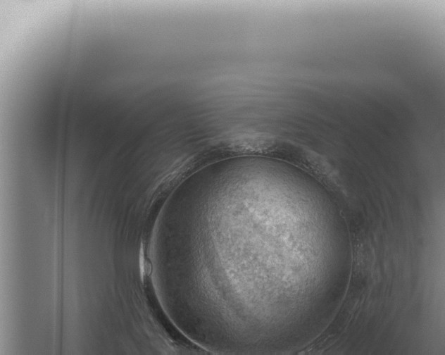 X0000059820027200510281743