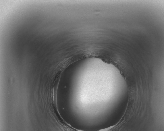 X0000059820029200510281743