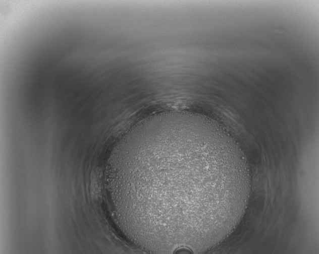 X0000059820030200510281743