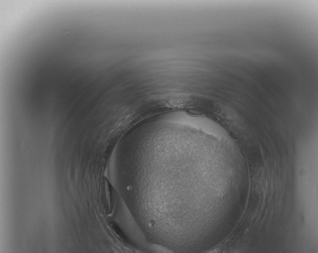 X0000059820031200510281743