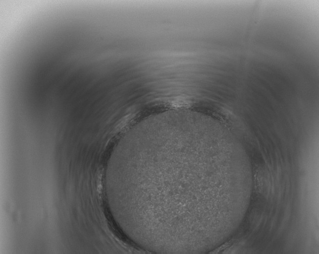 X0000059820032200510281743