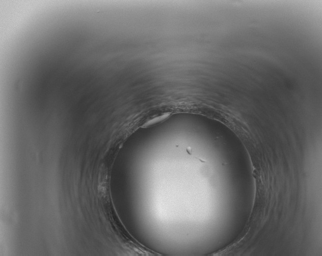 X0000059820033200510281743