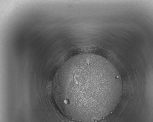 X0000059820034200510281743