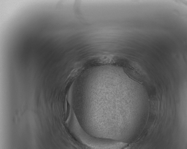 X0000059820035200510281743