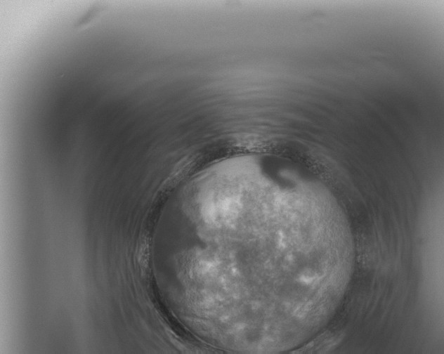 X0000059820036200510281743