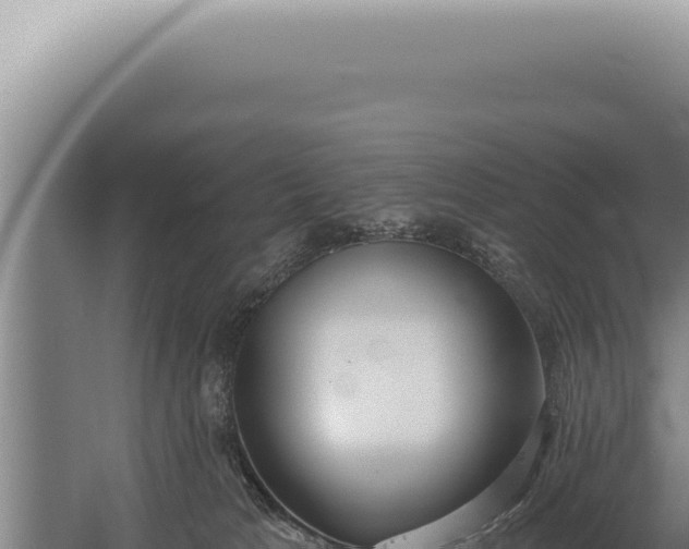 X0000059820037200510281743