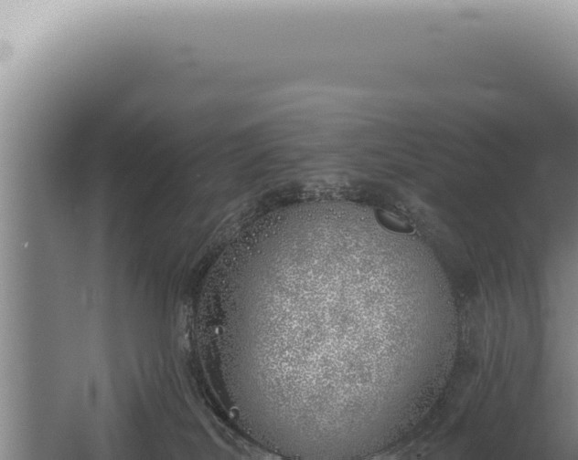 X0000059820038200510281743