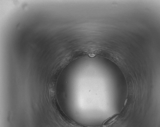 X0000059820040200510281743