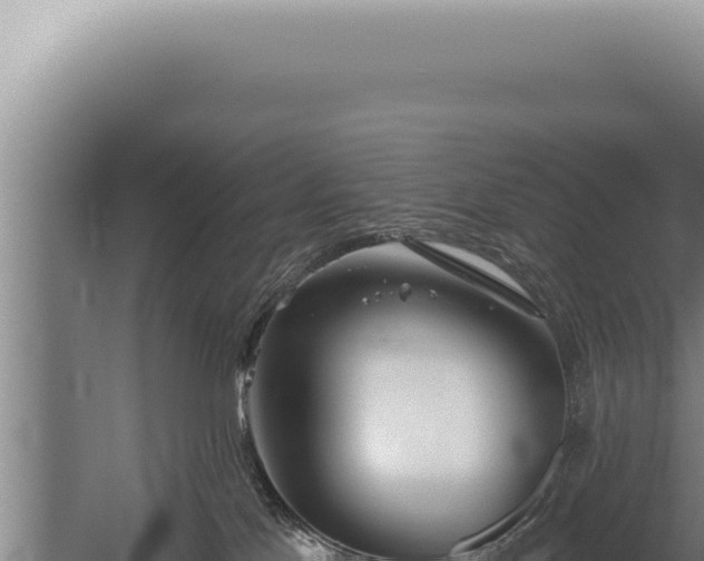 X0000059820041200510281743