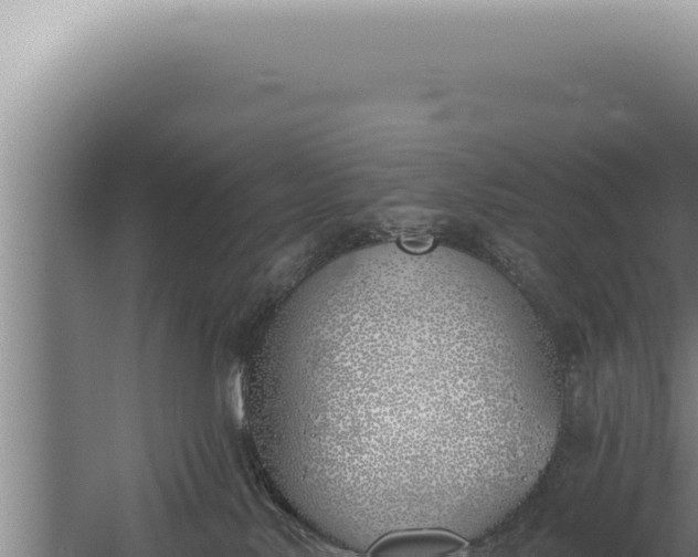 X0000059820042200510281743