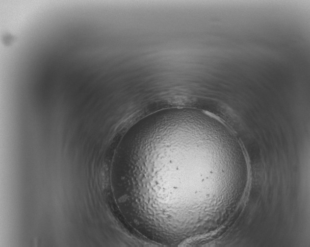 X0000059820043200510281743